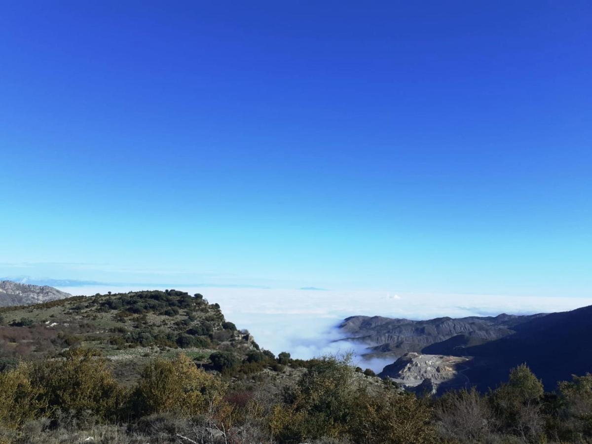 Casasdetrevijano Canon Del Rio Leza Soto en Cameros Kültér fotó